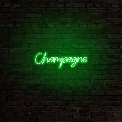 Настенный светильник Champagne цена и информация | Настенные светильники | kaup24.ee