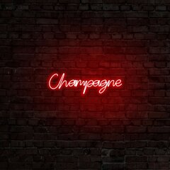 Настенный светильник Champagne цена и информация | Настенные светильники | kaup24.ee