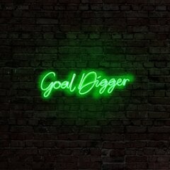 Настенный светильник Goal Digger цена и информация | Настенный светильник Конусы | kaup24.ee