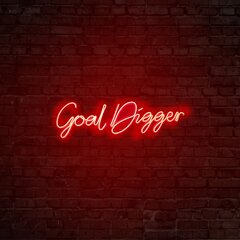 Seinavalgusti Goal Digger цена и информация | Настенные светильники | kaup24.ee