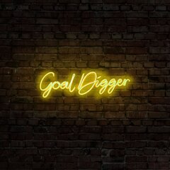 Настенный светильник Goal Digger цена и информация | Настенный светильник Конусы | kaup24.ee