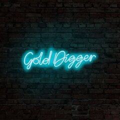 Настенный светильник Gold Digger цена и информация | Настенные светильники | kaup24.ee