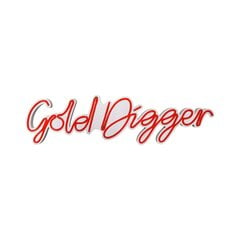 Настенный светильник Gold Digger цена и информация | Настенный светильник Конусы | kaup24.ee