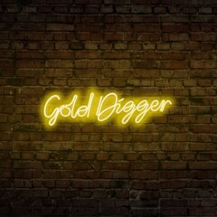 Настенный светильник Gold Digger цена и информация | Настенный светильник Конусы | kaup24.ee