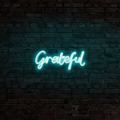 Настенный светильник Grateful цена и информация | Настенный светильник Конусы | kaup24.ee