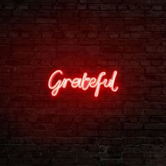 Настенный светильник Grateful цена и информация | Настенные светильники | kaup24.ee