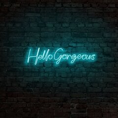 Seinavalgusti Hello Gorgeous hind ja info | Seinavalgustid | kaup24.ee