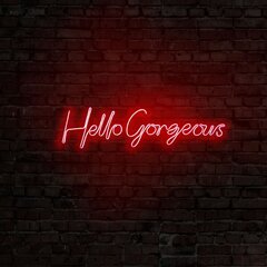 Seinavalgusti Hello Gorgeous цена и информация | Настенные светильники | kaup24.ee