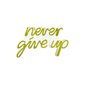 Seinavalgusti Never Give Up hind ja info | Seinavalgustid | kaup24.ee