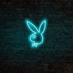 Настенный светильник Playboy цена и информация | Настенный светильник Конусы | kaup24.ee