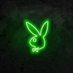 Настенный светильник Playboy цена и информация | Настенные светильники | kaup24.ee