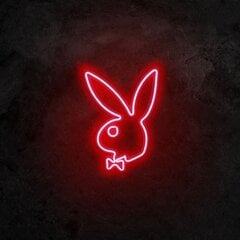 Настенный светильник Playboy цена и информация | Настенные светильники | kaup24.ee