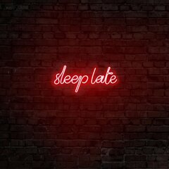 Настенный светильник Sleep Late цена и информация | Настенные светильники | kaup24.ee