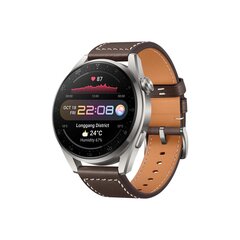 Huawei Watch 3 Pro Classic Titanium Gray with Brown Leather Strap 55026781 цена и информация | Смарт-часы (smartwatch) | kaup24.ee