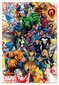 Pusle Educa Borras Heroes Marvel, 500 tk цена и информация | Pusled | kaup24.ee