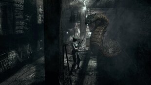 Resident Evil - Origins Collection (PS4) цена и информация | Компьютерные игры | kaup24.ee