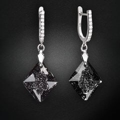 Naiste hõbedased kõrvarõngad DiamondSky "Growing Crystal (Silver Night)" Swarovski kristallidega цена и информация | Серьги | kaup24.ee