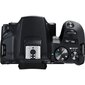 Canon EOS 250D Body (Black) - Demonstracinis (expo) цена и информация | Fotoaparaadid | kaup24.ee