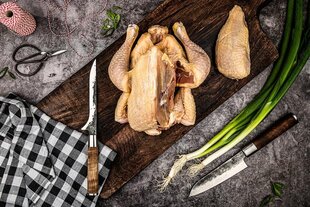 Японский стальной нож Style De Vie VG10 Forged Boning, 16 см цена и информация | Ножи и аксессуары для них | kaup24.ee