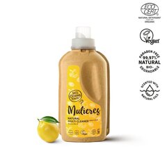 Universaalne puhastusvahend Fresh Citrus, 1 L цена и информация | Очистители | kaup24.ee