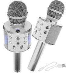 Laste mikrofon WS858, hõbe цена и информация | Развивающие игрушки | kaup24.ee