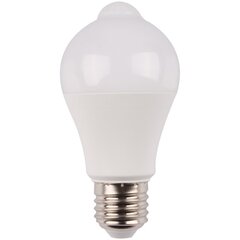 LED-lambipirn Avide 10W A60 E27 4K PIR-andur hind ja info | Lambipirnid, lambid | kaup24.ee