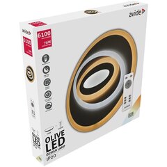 Avide Olive 76W kaugjuhtimispuldiga LED laevalgusti цена и информация | Потолочные светильники | kaup24.ee