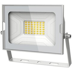 LED-prožektor SMD Avide Slim 30W valge цена и информация | Уличное освещение | kaup24.ee