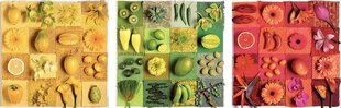 Pusle eksootiliste puuviljade ja lilledega Educa Borras, 500 detaili, 3 tk цена и информация | Пазлы | kaup24.ee