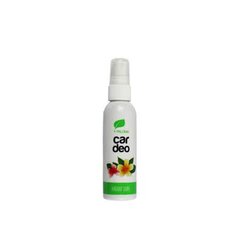 PALOMA CAR DEO SPRAY HAWAII SURF õhuvärskendajat hind ja info | Autolõhnastajad | kaup24.ee