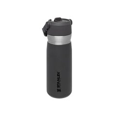 Kõrrega termospudel The IceFlow Flip Straw Water Bottle Go 0,65 l, hall hind ja info | Stanley Lauanõud, kööginõud, söögiriistad | kaup24.ee