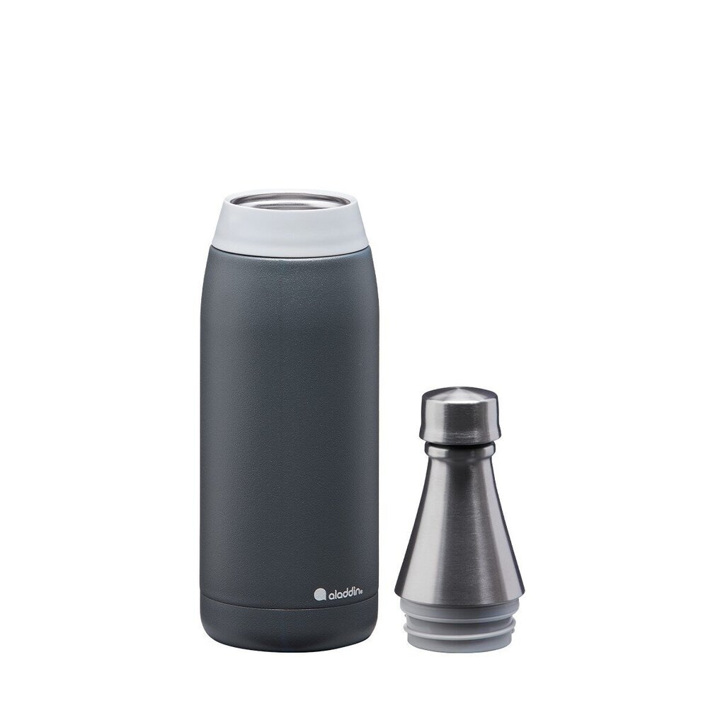 Termospudel Fresco Thermavac Water Bottle 0,6l, hall hind ja info | Joogipudelid | kaup24.ee