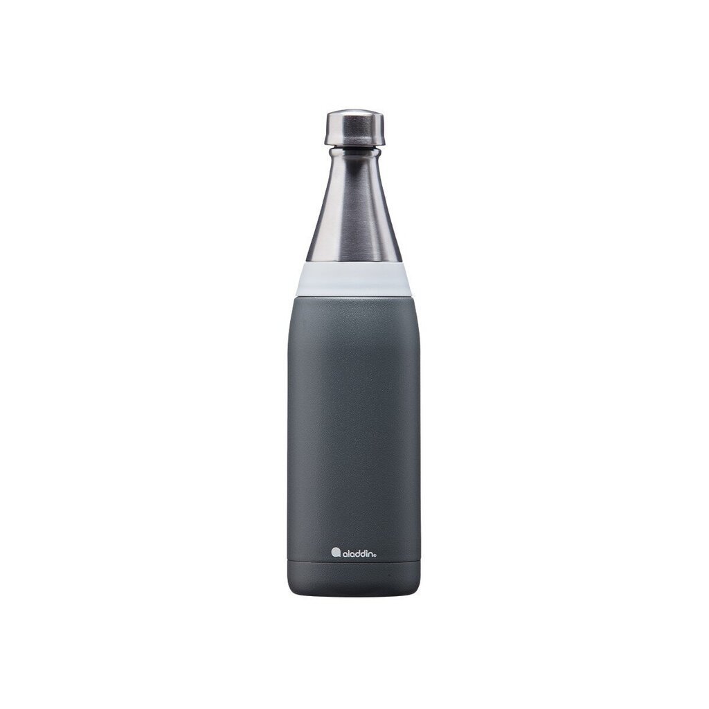 Termospudel Fresco Thermavac Water Bottle 0,6l, hall цена и информация | Joogipudelid | kaup24.ee