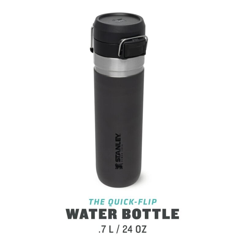 Termospudel The Quick Flip Water Bottle Go 0,71 l, hall hind ja info | Termosed, termostassid | kaup24.ee