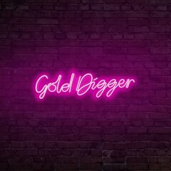 Настенный светильник Gold Digger цена и информация | Настенный светильник Конусы | kaup24.ee