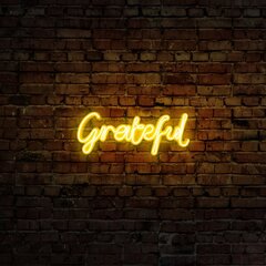 Seinavalgusti Grateful hind ja info | Seinavalgustid | kaup24.ee