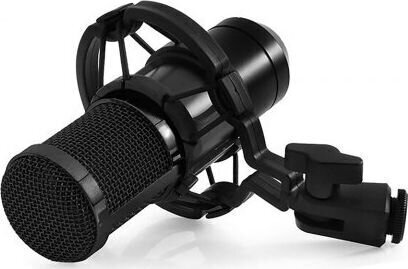 Mikrofon Media-Tech MT396 цена и информация | Mikrofonid | kaup24.ee