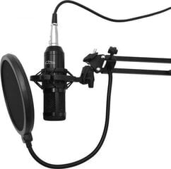 Mikrofon Media-Tech MT396 цена и информация | Микрофоны | kaup24.ee