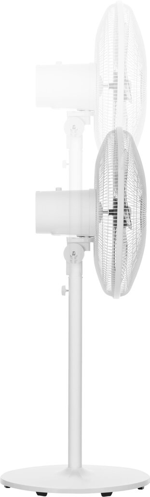 Ventilaator Sencor SFN 4060WH 50W, valge цена и информация | Ventilaatorid | kaup24.ee