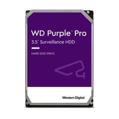 WD WD101PURP цена и информация | Внутренние жёсткие диски (HDD, SSD, Hybrid) | kaup24.ee