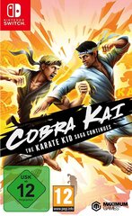 Nintendo Switch mäng Cobra Kai: The Karate Saga Continues hind ja info | Arvutimängud, konsoolimängud | kaup24.ee