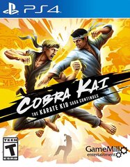 PS4 Cobra Kai: The Karate Saga Continues цена и информация | Компьютерные игры | kaup24.ee