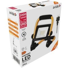 Avide 30 W põranda LED-prožektor hind ja info | Aia- ja õuevalgustid | kaup24.ee