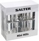 Salter 7605 SSXR maitseainepurkide komplekt, 2 tk цена и информация | Soola- ja pipraveskid, maitseianepurgid | kaup24.ee