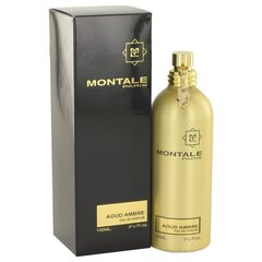 Парфюм Montale Paris Aoud Ambre EDP для мужчин/женщин, 100 мл цена и информация | Женские духи | kaup24.ee