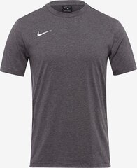 Футболка мужская Nike, серая цена и информация | Мужские футболки | kaup24.ee