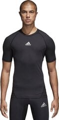 Футболка мужская Adidas CW9524, черная цена и информация | Мужские футболки | kaup24.ee