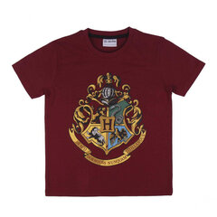 Pidžaama poisile Harry Potter 128 cm hind ja info | Poiste hommikumantlid ja pidžaamad | kaup24.ee
