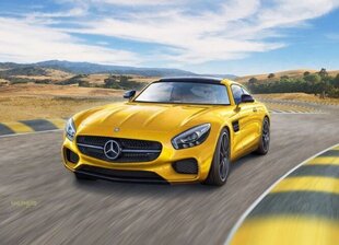 Revell - Mercedes AMG GT, 1/24, 07028 цена и информация | Конструкторы и кубики | kaup24.ee