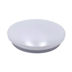 LED-lamp 24W 4000К IP20 цена и информация | Потолочные светильники | kaup24.ee